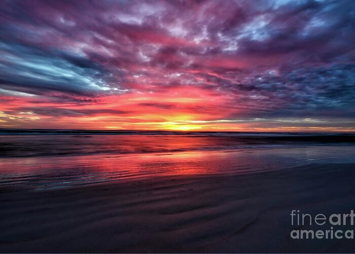 St Augustine Beach Greeting Card featuring the photograph Nature's Palette #2 by Chuck Burdick
