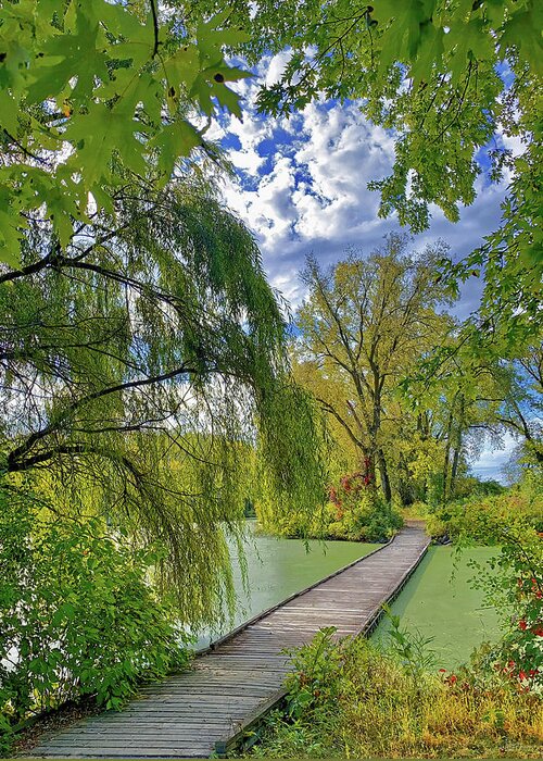 Floating Bridge Greeting Card featuring the photograph Norsk Gangsti - Norwegian footpath - floating bridge in Viking County Park, Stoughton, WI by Peter Herman