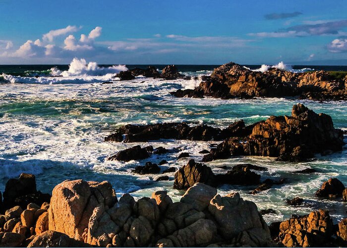  Greeting Card featuring the photograph Pacific Grove, Ca #1 by Dr Janine Williams