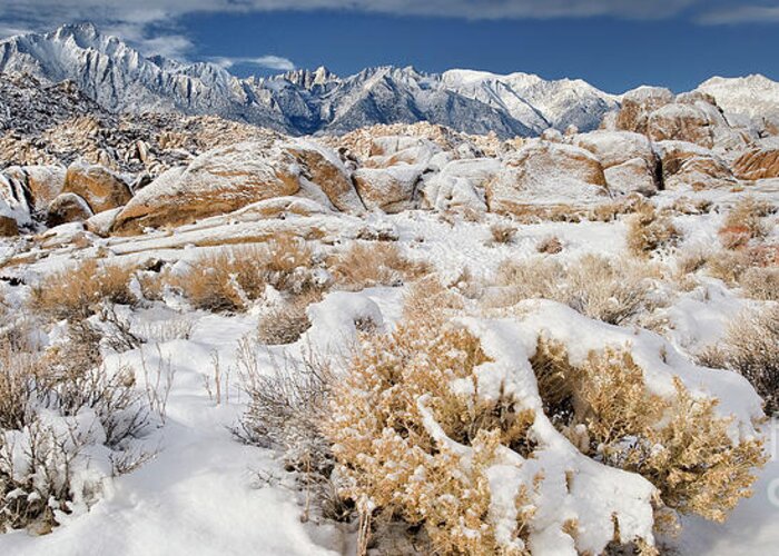 Dave Welling Greeting Card featuring the photograph Panorama Winter Sunrise Alabama Hills Eastern Sierras by Dave Welling