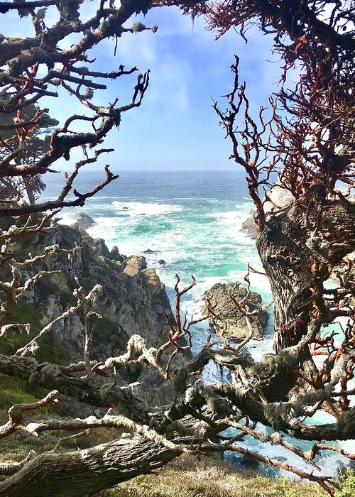 Sea Greeting Card featuring the photograph Point Lobos #1 by Luisa Millicent