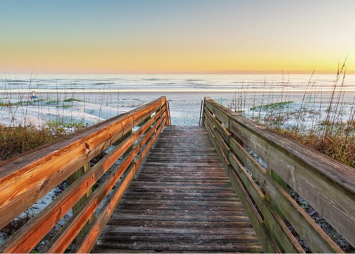 Atlantic Greeting Card featuring the photograph Ponce de Leon Inlet Beach Path #1 by Stefan Mazzola