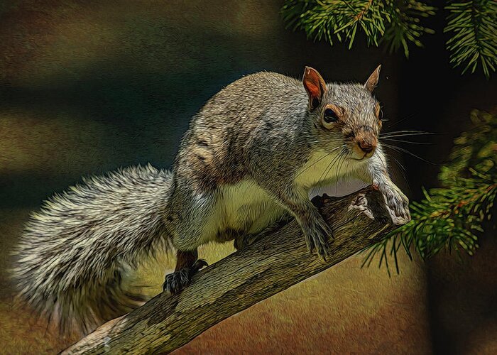 Squirrel Greeting Card featuring the photograph Ready To Jump #1 by Cathy Kovarik