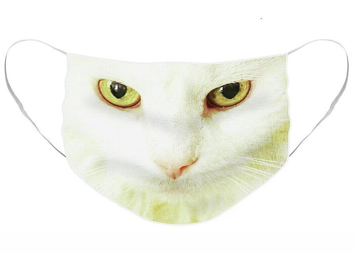 Cat; Kitten; White; White Cat; Gold; Brown; Yellow; Yellow Eyes; Cat Eyes; Kitten Eyes; Macro; Close-up; Photography; Portrait; Face Mask; Mask Greeting Card featuring the photograph Renaissance Cat #2 by Tina Uihlein