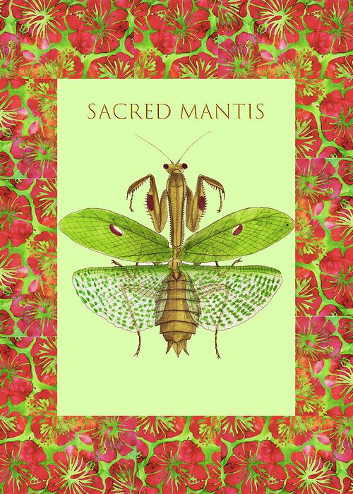 Praying Mantis Greeting Card featuring the mixed media Sacred Mantis #2 by Lorena Cassady