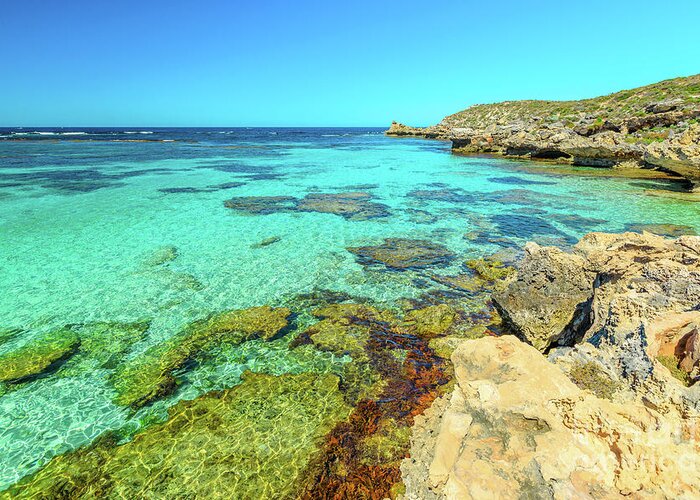 Australia Greeting Card featuring the photograph Salmon Bay Rottnest Island #1 by Benny Marty