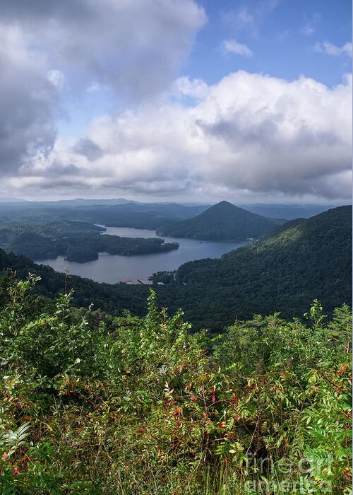 Lake Ocoee Greeting Card featuring the photograph Scenic Overlook 10 #1 by Phil Perkins