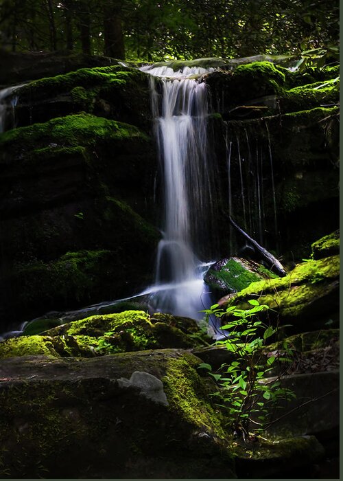 Smoky Mountains Greeting Card featuring the photograph Smoky Mountains Spring Water #1 by Theresa D Williams