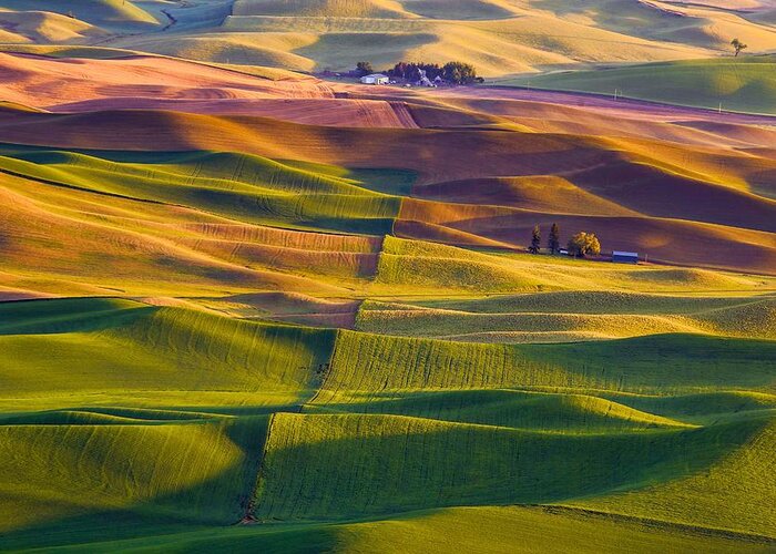 Spring On The Palouse Greeting Card featuring the photograph Spring on the Palouse by Lynn Hopwood