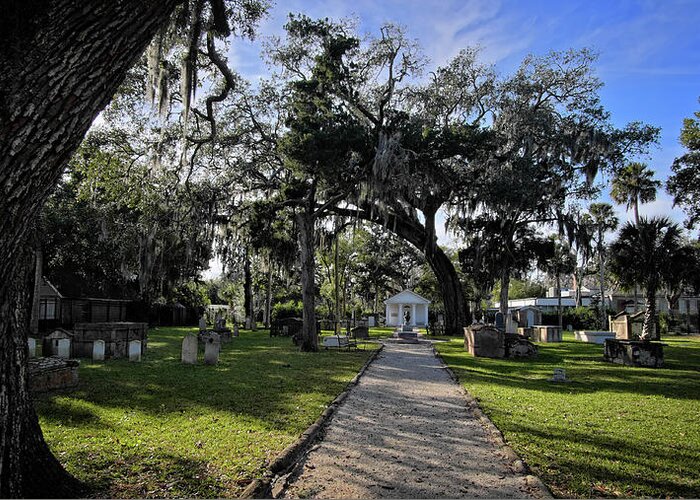 Cemetery Greeting Card featuring the photograph St. Augustine Cemetery by George Taylor