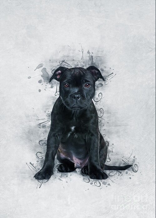 Dog Greeting Card featuring the painting Staffordshire Bull Terrier #1 by Ian Mitchell