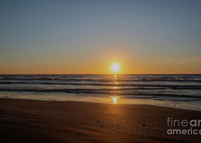 Sunrise Greeting Card featuring the photograph Sunrise on the Gulf of Mexico #1 by Patrick Nowotny