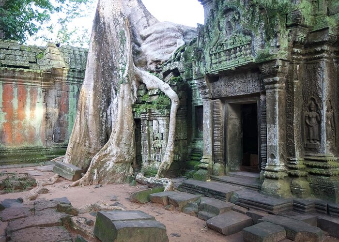 Cambodia Greeting Card featuring the photograph Ta prohm 1 #1 by Mark Egerton