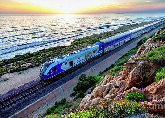 Amtrak Greeting Card featuring the photograph The Amtrak 584 to San Diego by David Levin