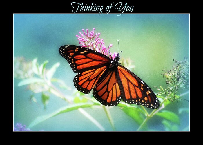 Monarch Butterfly Greeting Card featuring the photograph Thinking of You Monarch Greeting Card by Marilyn DeBlock