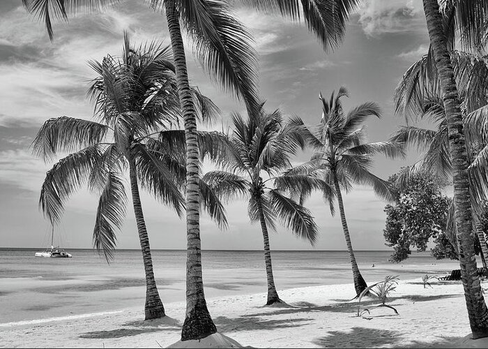 Holiday Greeting Card featuring the photograph Tropical Paradise #1 by Shirley Mitchell