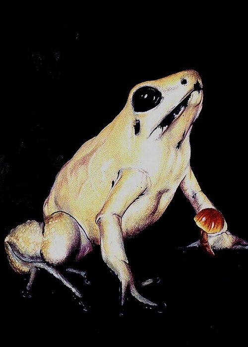 Frog Greeting Card featuring the drawing Watchful Morning by Barbara Keith