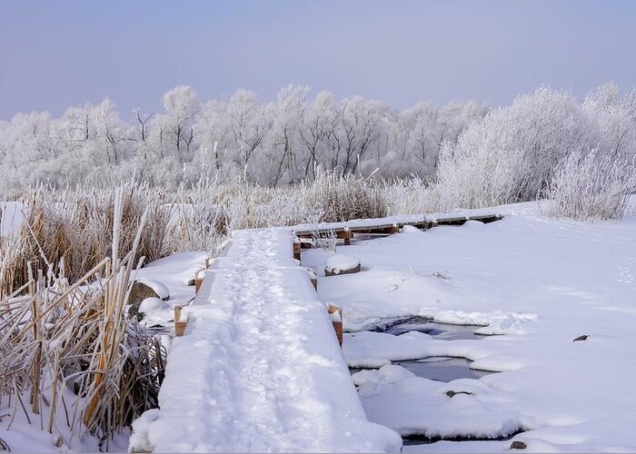 Lake Greeting Card featuring the photograph Winter Wonderland at Purgatory Creek #1 by Susan Rydberg