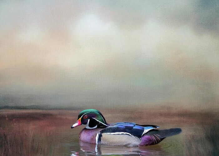 Wood Duck Greeting Card featuring the mixed media Wood Duck Swimming #1 by Eva Lechner