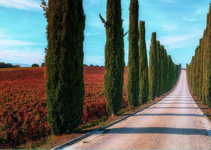 Montefalco Greeting Card featuring the photograph Montefalco - Italy #10 by Joana Kruse