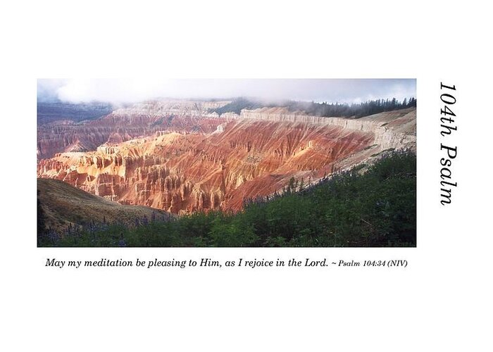 Richard E. Porter Greeting Card featuring the photograph 104th Psalm-Cedar Breaks with Flowers by Richard Porter