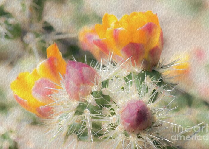 Cactus Greeting Card featuring the photograph 1620 Watercolor Cactus Blossom by Kenneth Johnson