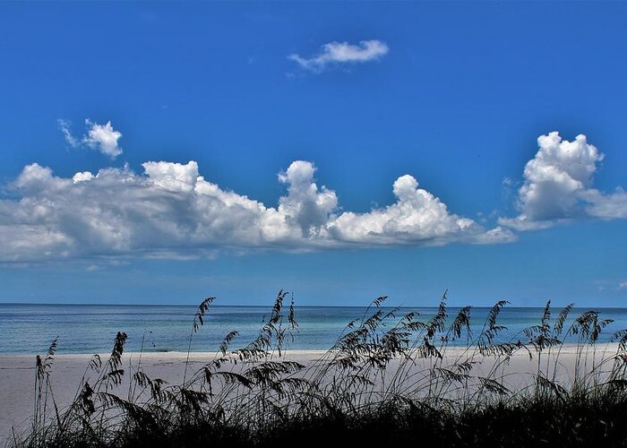  Greeting Card featuring the photograph Naples Beach by Donn Ingemie