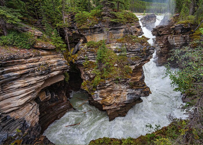 Alberta Greeting Card featuring the photograph Athabasca Falls #1 by Tommy Farnsworth