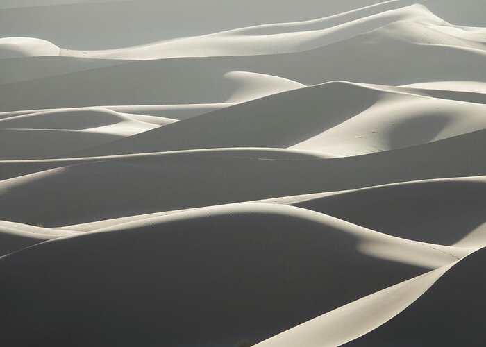 Desert Greeting Card featuring the photograph Background with sandy dunes in desert #2 by Mikhail Kokhanchikov