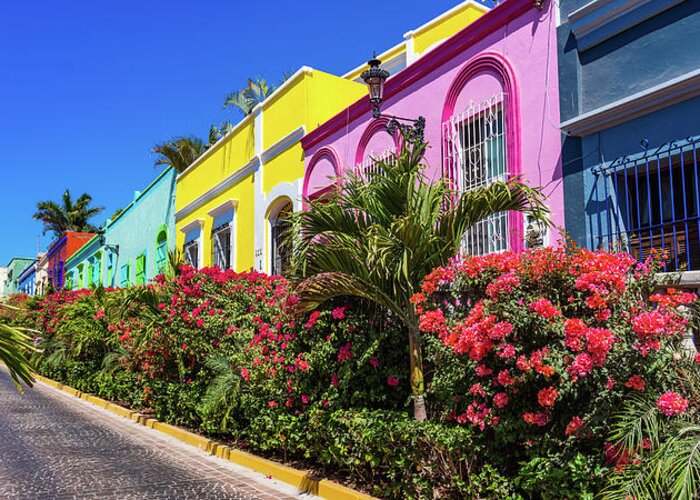 Fine Art Photography Greeting Card featuring the photograph Colorful Homes in Centro Mazatlan Mexico by Tommy Farnsworth