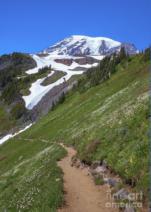 Mt Rainier Greeting Card featuring the photograph Golden Gate Trail by Sharon Seaward
