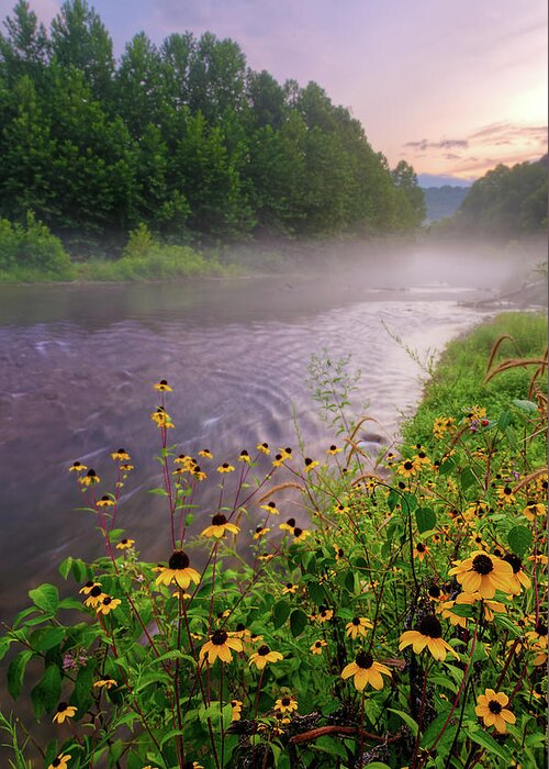 Wildflowers Greeting Card featuring the photograph Little Piney Creek by Robert Charity