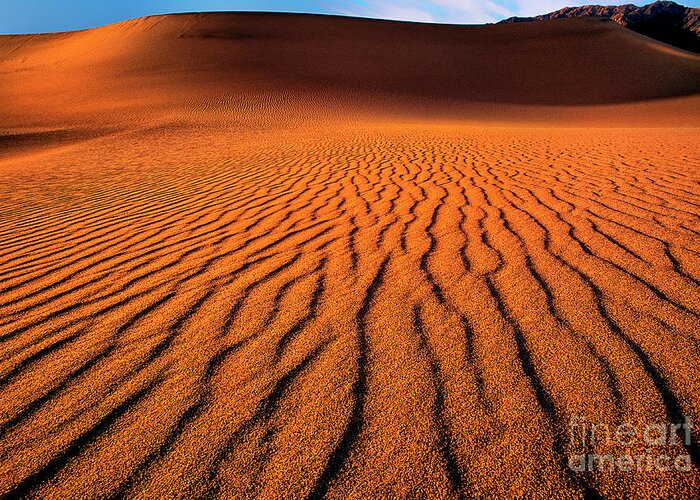 Dave Welling Greeting Card featuring the photograph Mesquite Sand Dunes Death Valley California #2 by Dave Welling