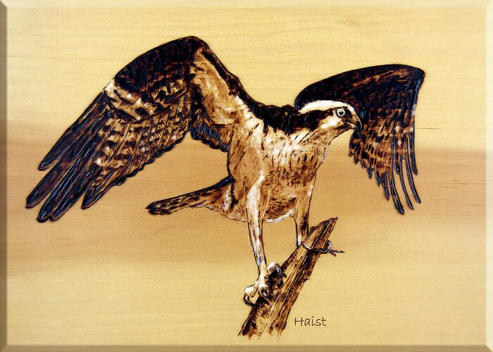 Osprey Greeting Card featuring the pyrography Osprey #2 by Ron Haist