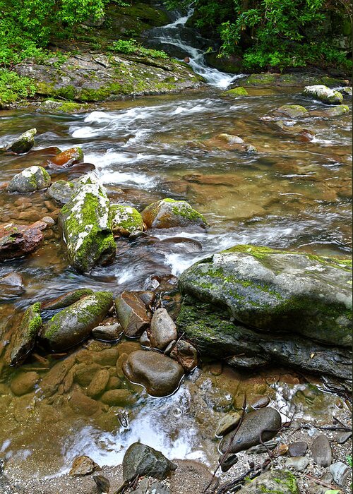 Smoky Mountains Greeting Card featuring the photograph Running Water by Phil Perkins