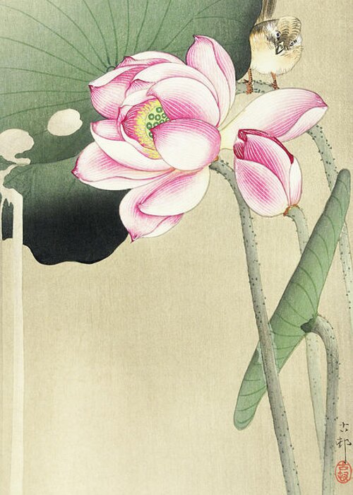 Bird Greeting Card featuring the painting Songbird and Lotus #3 by Ohara Koson
