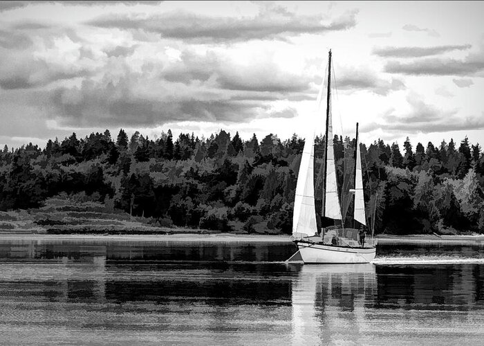 Monochrome Greeting Card featuring the photograph Tranquility #4 by Bruce Bonnett