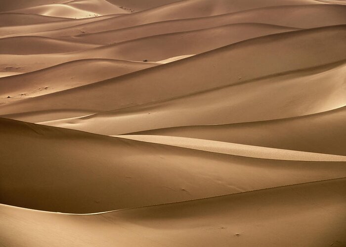 Desert Greeting Card featuring the photograph Background with of sandy dunes in desert by Mikhail Kokhanchikov
