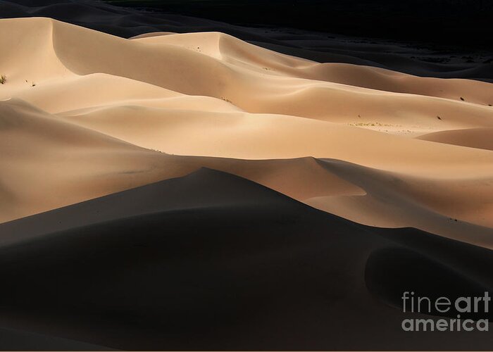 Gobi Desert Greeting Card featuring the photograph Gobi desert #3 by Elbegzaya Lkhagvasuren