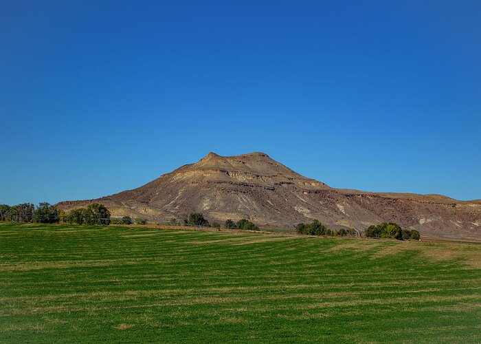 Idaho Greeting Card featuring the photograph Idaho #3 by Dart Humeston