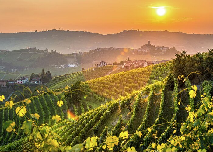 Barbera Greeting Card featuring the photograph Langhe #3 by Francesco Riccardo Iacomino