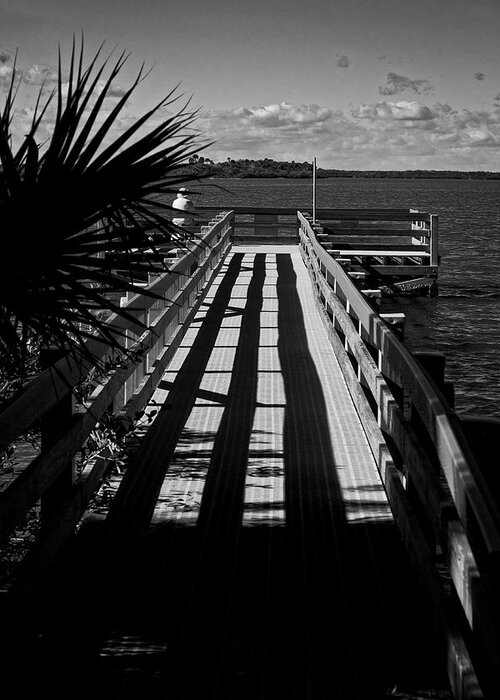 Mosquito Lagoon Greeting Card featuring the photograph Mosquito Lagoon #3 by George Taylor