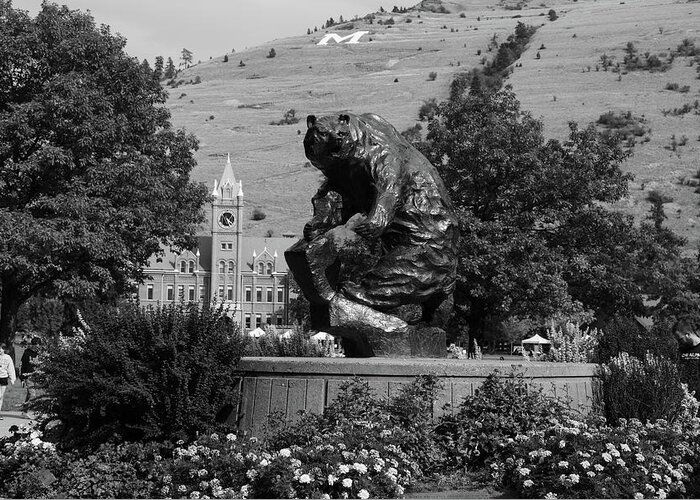 Grizzlies Greeting Card featuring the photograph The Grizzly statue at the University of Montana - Grand Griz in black and white #3 by Eldon McGraw
