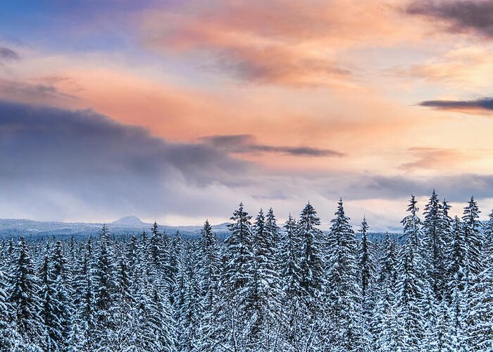 Alaska Greeting Card featuring the photograph Winter Sunset #3 by Michele Cornelius