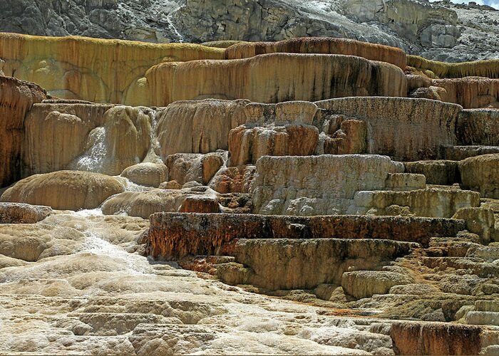 Mammoth Hot Springs Greeting Card featuring the photograph Yellowstone NP - Mammoth Hot Springs #5 by Richard Krebs