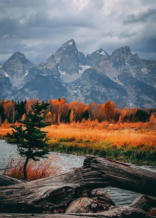 Grand Greeting Card featuring the photograph Grand Teton National Park #32 by Brian Venghous