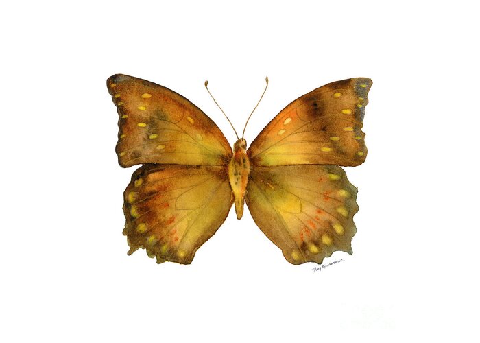 Charaxes Greeting Card featuring the painting 34 Charaxes Butterfly by Amy Kirkpatrick