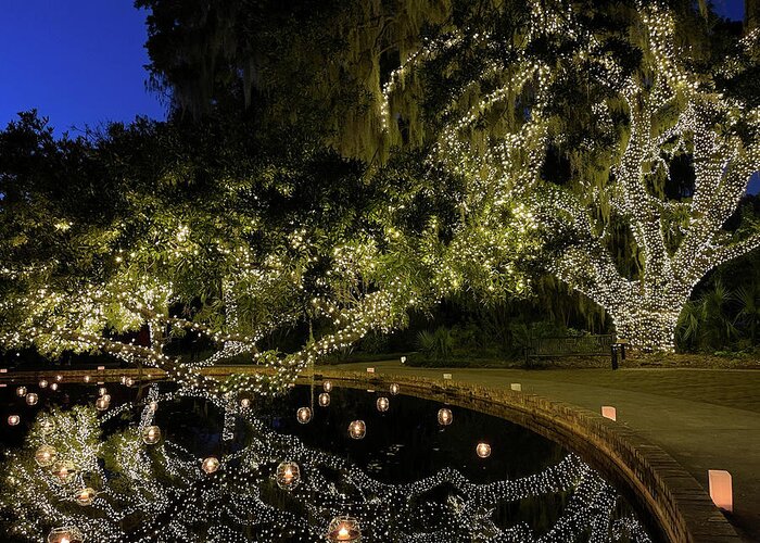 Brookgreen Gardens Greeting Card featuring the photograph Brookgreen Gardens Festival of a Thousand Candles #5 by Dawna Moore Photography