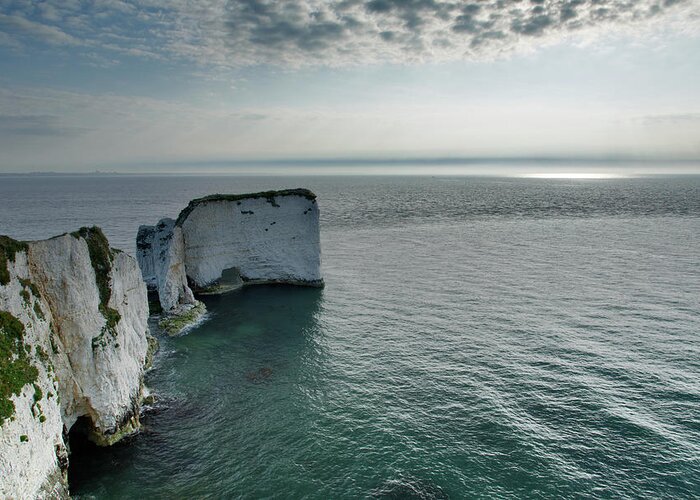 Old Harry Greeting Card featuring the photograph Morning light at Old Harry Rocks #4 by Ian Middleton