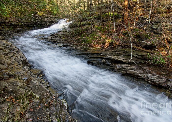 Hike Greeting Card featuring the photograph Rushing Water by Phil Perkins